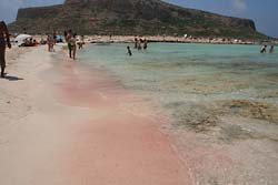 Różowy piasek to tysiące potłuczonych muszelek